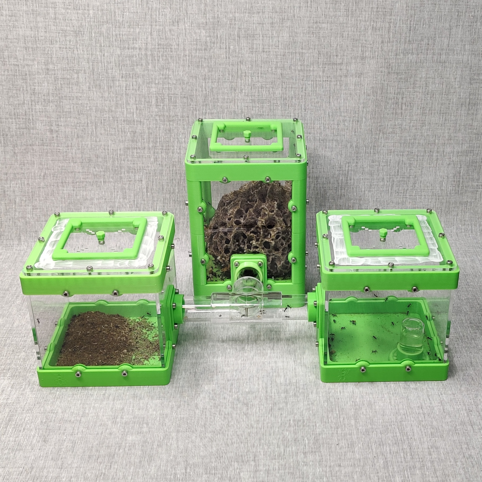 Leafcutter Founding Set Complete