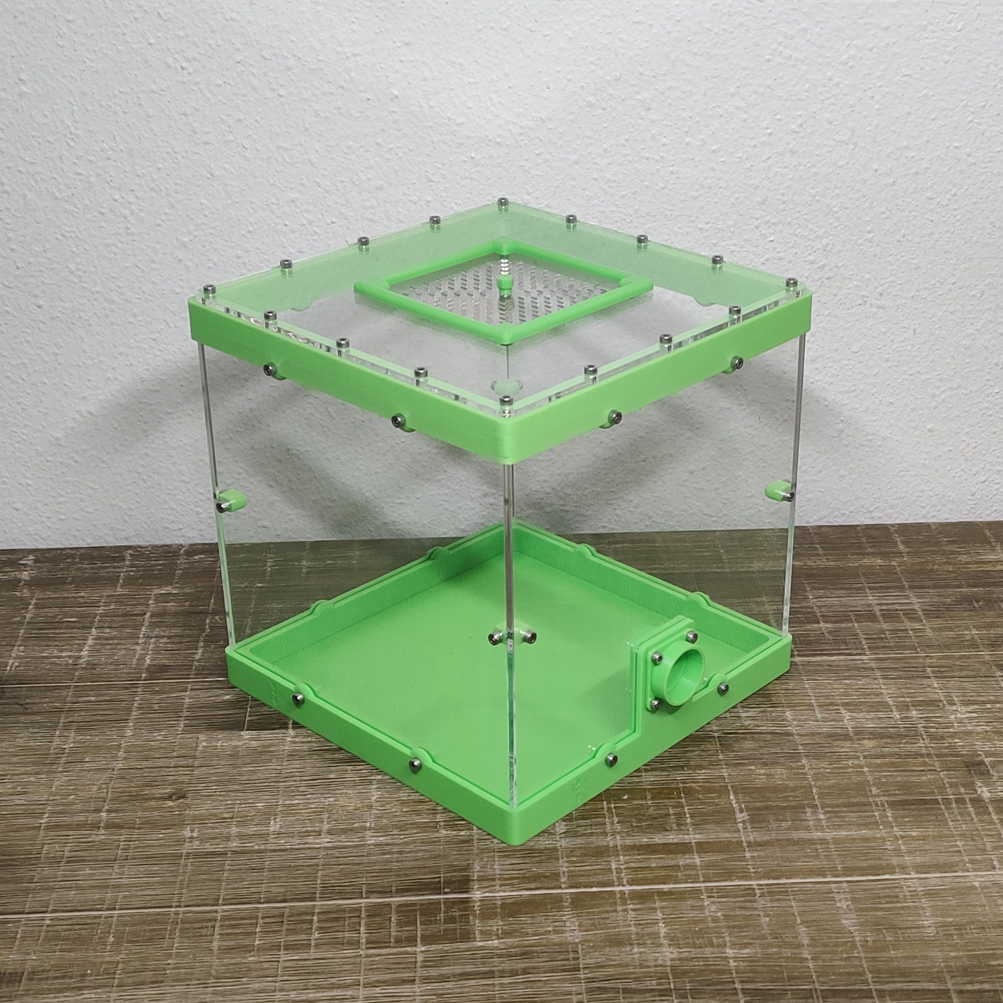 Large Leafcutter Outworld