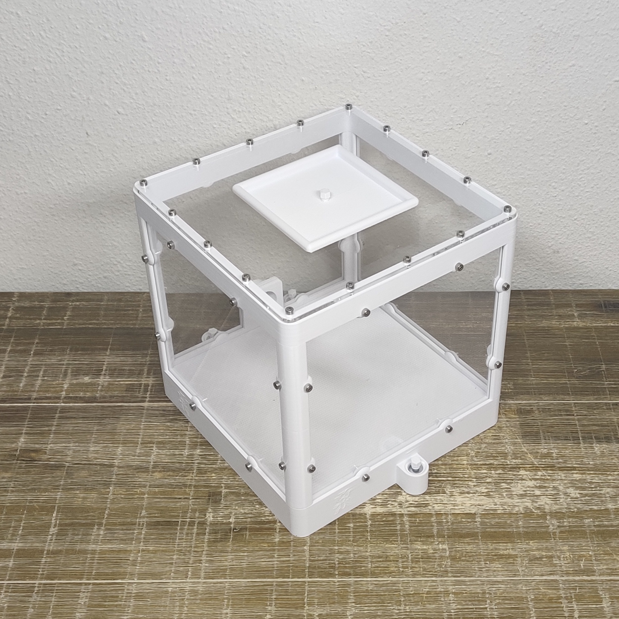 Large Leafcutter Fungus Pod