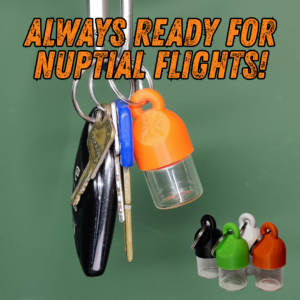 The Nuptial Keychain
